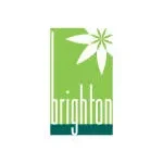 Brighton Real Estate company logo