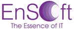 ENSOFT CONSULTING SDN BHD company logo