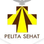 PELITA SEHAT company logo