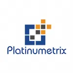 PT Platinumetrix Global Inovasi company logo