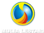 PT Raditya Mulia Lestari company logo