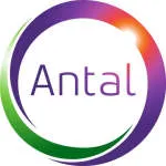 Antal International company logo