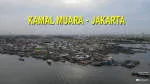 PT MSI KAMAL MUARA VII company logo