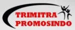 PT. Trimitra Solusi Integra company logo