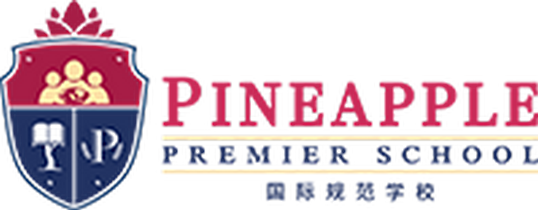 Info Loker Medan Kindergarten Teacher di Pineapple Premier School Terbaru 2024