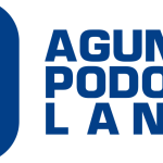 PT Agung Podomoro Land Tbk